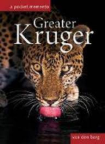 Greater Kruger - The big picture