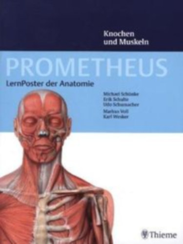 Erik Schulte, Udo Schumacher, Markus Voll, Karl Wesker Michael Schnke - PROMETHEUS LernPoster der Anatomie - Knochen und Muskeln