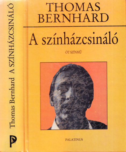 A sz�nh�zcsin�l�