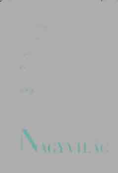 Nagyvil�g (Mai k�lf�ldi elbesz�l�k)