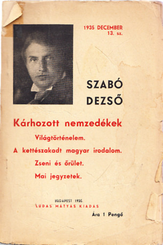 Krhozott nemzedkek (Vilgtrtnelem - A kettszakadt magyar irodalom - Zseni s rlet - Mai jegyzetek)- Ludas Mtys fzetek 13.