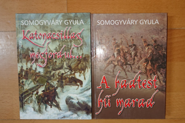 Vit�z Somogyv�ry Gyula - 2 k�nyv Somogyv�ry Gyul�t�l: Katonacsillag megfordul..., A hadtest h� marad