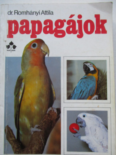 Papagjok