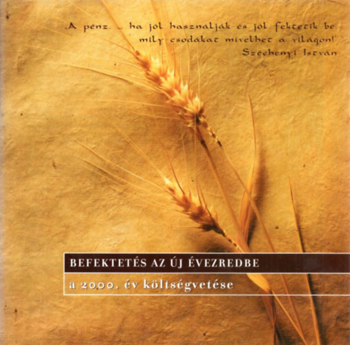 Befektet�s az �j �vezredbe a 2000. �v k�lts�gvet�se