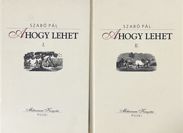 Ahogy lehet I-II.