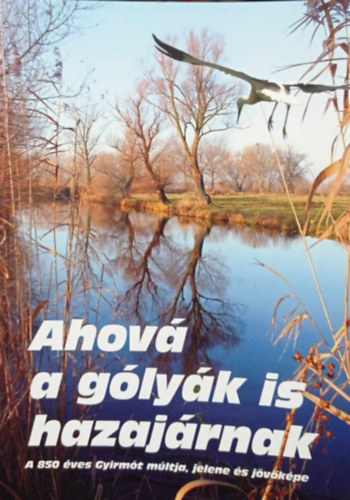 Ahov a glyk is hazajrnak - a 850 ves Gyirmt mltja, jelene s jvkpe