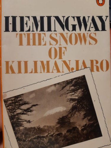 The snow of Kilimanjaro