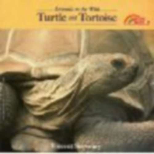 Animals in the Wild - Turtle and Tortoise