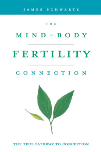 James Schwartz - The Mind-body Fertility Connection: The True Pathway to Conception