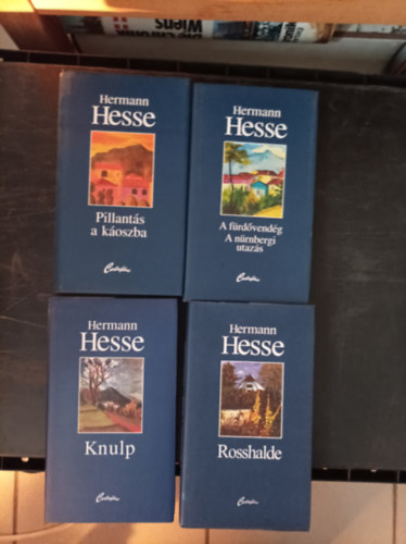 4db Herman Hesse knyv: Pillants a koszba; A fdvendg; Knulp; Rosshalde