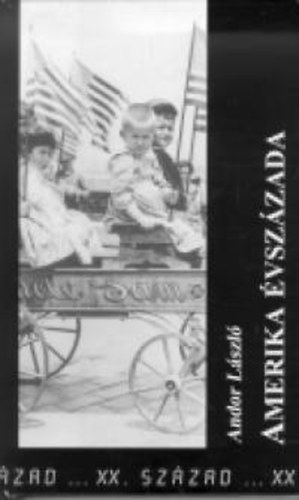 Amerika vszzada
