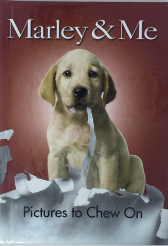Marley & Me Pictures to Chew On