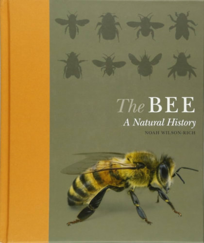 The Bee: A Natural History (Ivy Press)