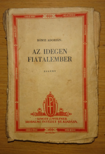 Az idegen fiatalember
