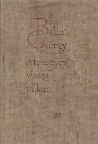 A toronyr visszapillant I-II.