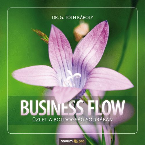 Business Flow