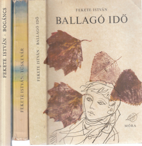 3 db. ifjsgi regny (Ballag id + Tskevr + Bogncs)