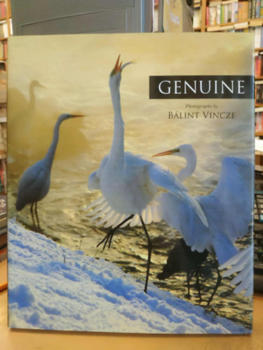 Genuine (angol nyelv)
