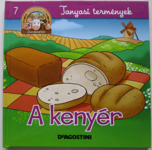 A kenyr (Tanyasi termnyek)