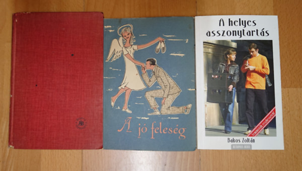 Bakos Zoltán - 3 könyv a női szerepekről a 20. századd második feléből: A jó feleség, Háziasszonyok könyve, A helyes asszonytartás