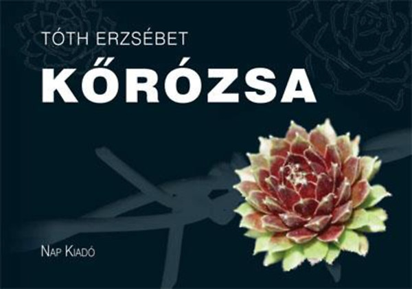 K�r�zsa