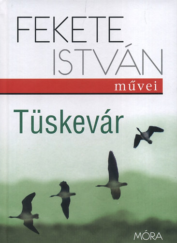 Tskevr