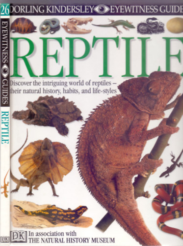 Jane Burton  by Colin McCarthy (Photographer), Karl Shone (Photographer) - Reptile (Eyewitness Guides)
