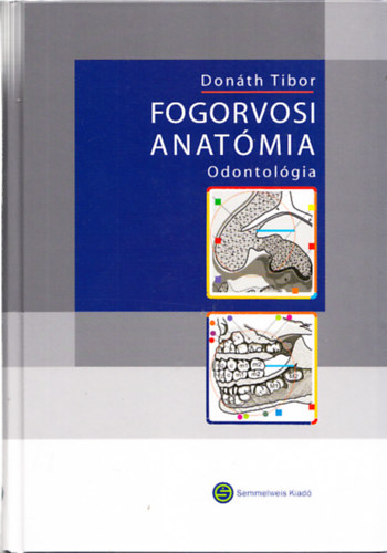 Fogorvosi anat�mia