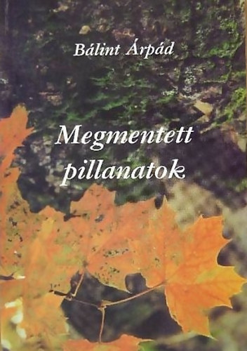 Blint rpd - Megmentett pillanatok