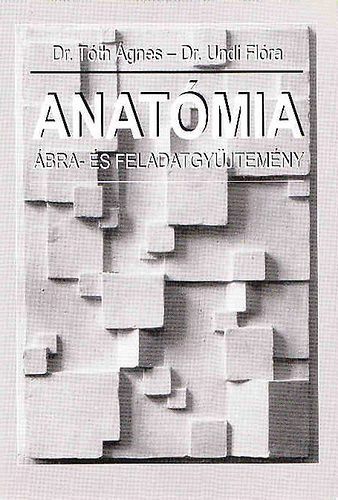 Anat�mia �bra- �s feladatgy�jtem�ny