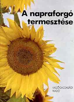 A napraforg� termeszt�se