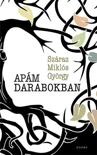 Apm darabokban