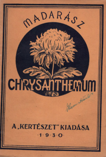 A Chrysanthemum termesztse