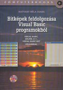 Bitkpek feldolgozsa Visual Basic programokbl