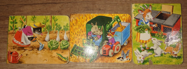 3 kedves minileporell: A vetemnyeskert, Szerszmok s gpek, A nylketrec