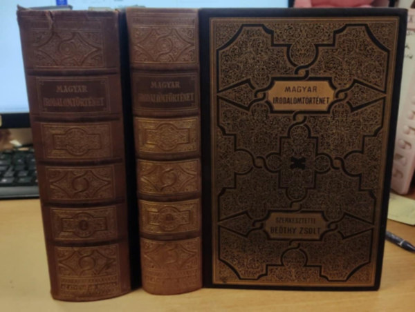 Kpes magyar irodalomtrtnet - A magyar irodalom trtnete I-II.