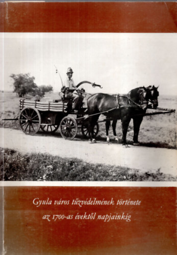 Gyula vros tzvdelmnek trtnete az 1700-as vektl napjainkig