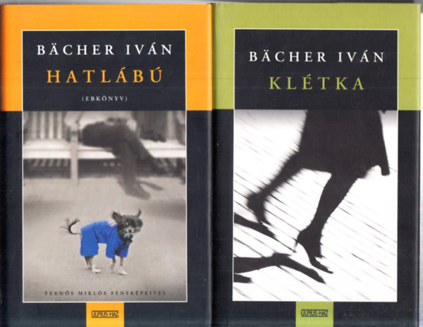 Bcher Ivn - Hatlb (Ebknyv) + Kltka