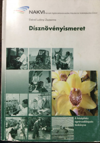 Dsznvnyismeret