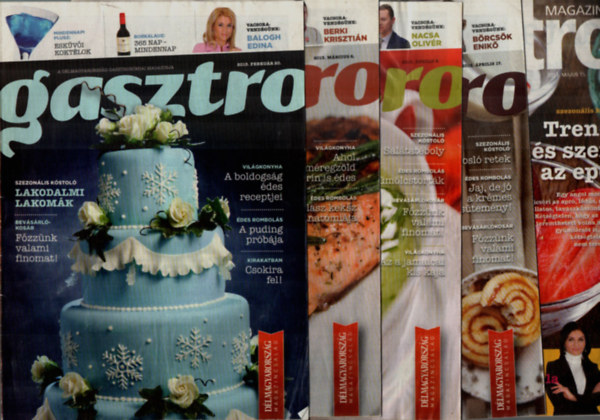 Dlmagyarorszg Gasztro magazin 2013. vfolyam. -(19 db)
