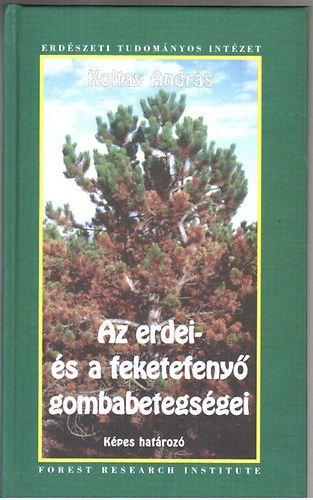 Az erdei- �s a feketefeny� gombabetegs�gei - K�pes hat�roz�