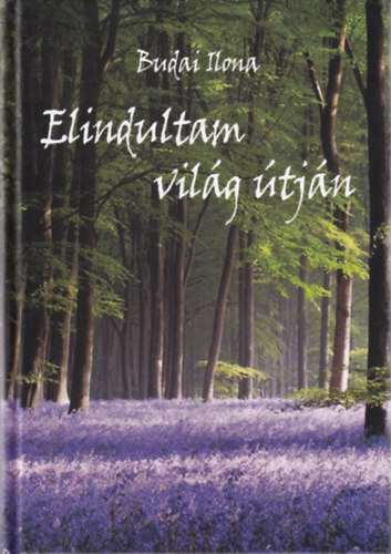 ELINDULTAM VILG TJN - CD MELLKLETTEL