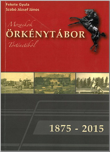 Mozaikok rknytbor trtnetbl, 1875-2015