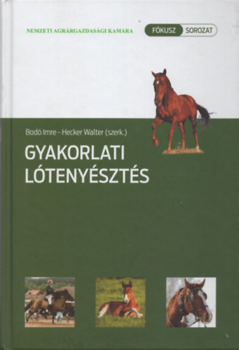Gyakorlati ltenyszts