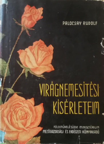 Vir�gnemes�t�si k�s�rleteim