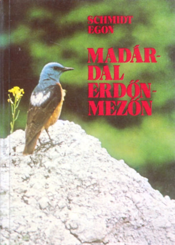 Madrdal erdn-mezn