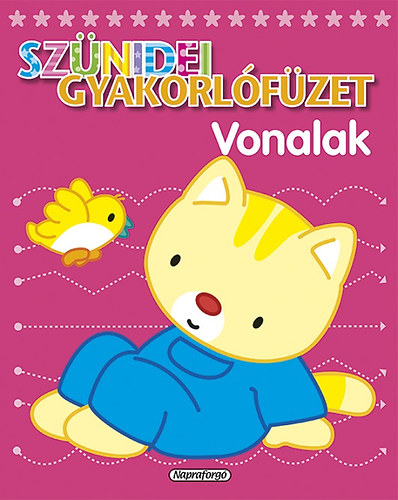 Sznidei gyakorlfzet - Vonalak