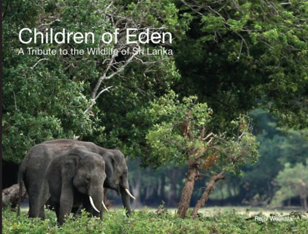 Children of Eden - A Tribute to the Wildlife of Sri Lanka