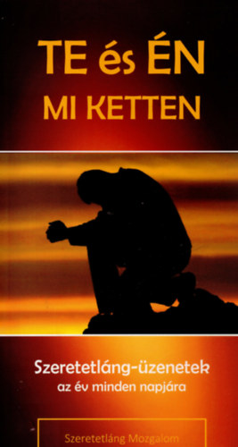 Te s n - Mi ketten