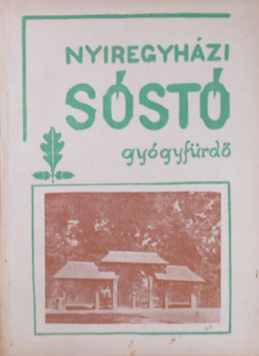 Ny�regyh�zi S�st�-Gy�gyf�rd�